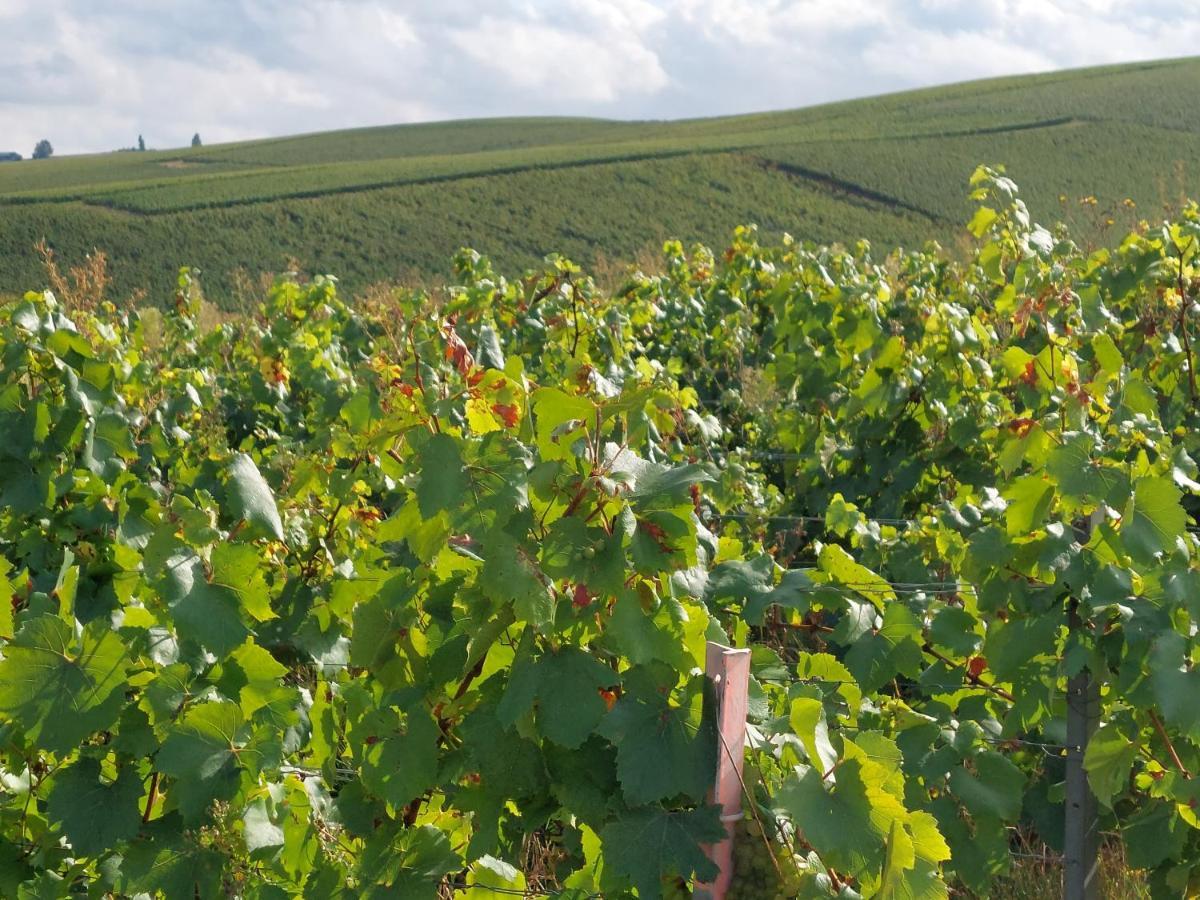 شقة Epernay Capital De Champagne المظهر الخارجي الصورة