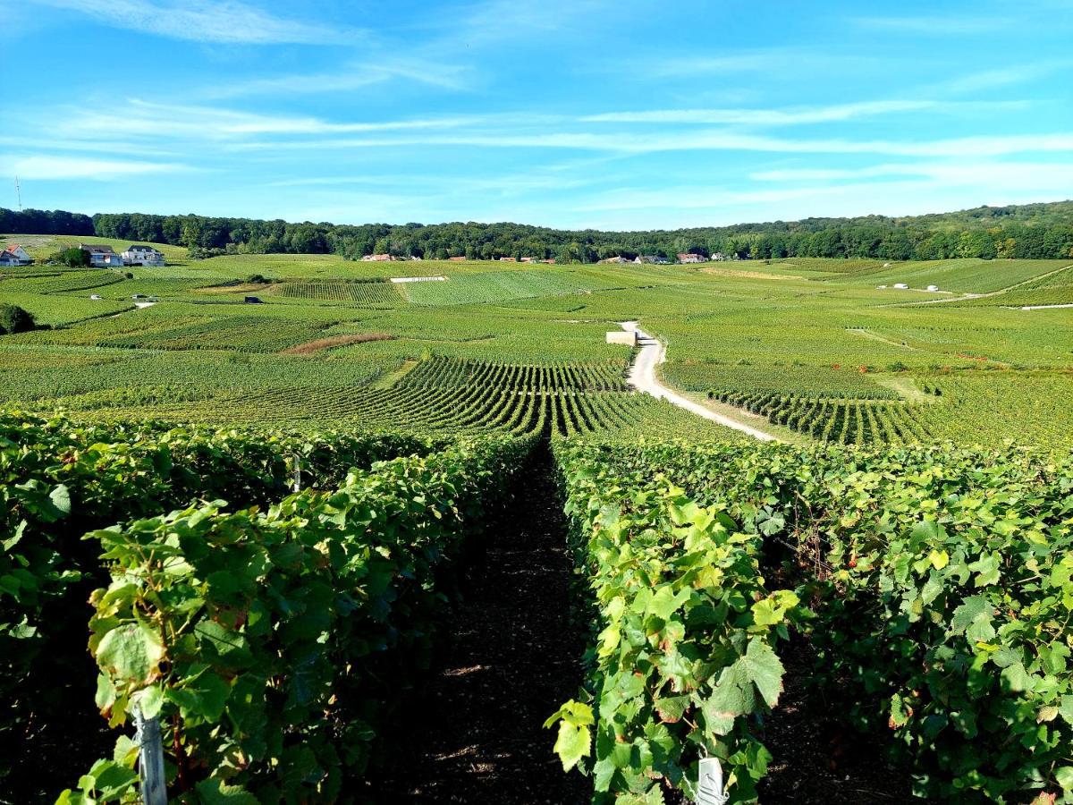 شقة Epernay Capital De Champagne المظهر الخارجي الصورة