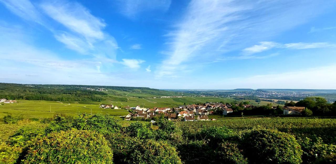 شقة Epernay Capital De Champagne المظهر الخارجي الصورة